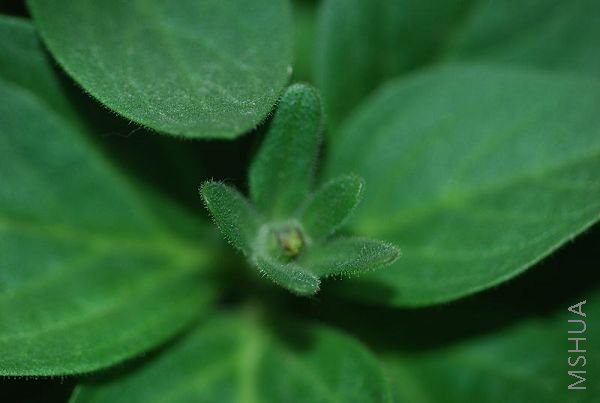 ���Ƕ䣬�����Ķ����ˣ���һ��