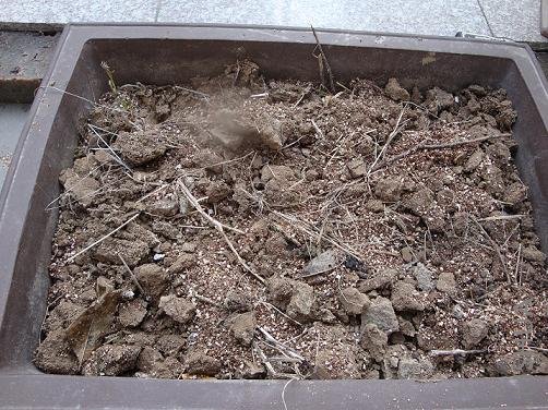 �������ŵķ�����