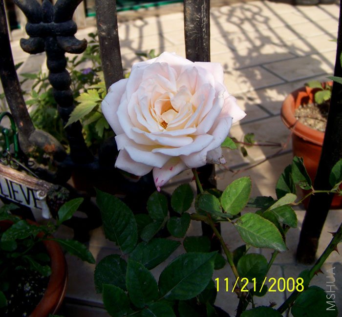 ��Ƭ 004.jpg