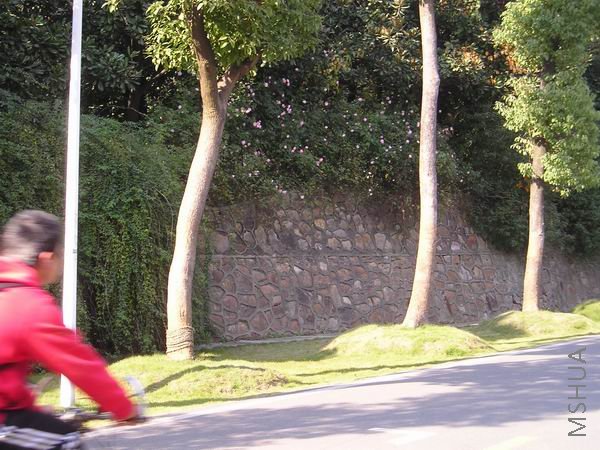on roadside.jpg