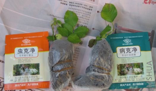 �յ�������