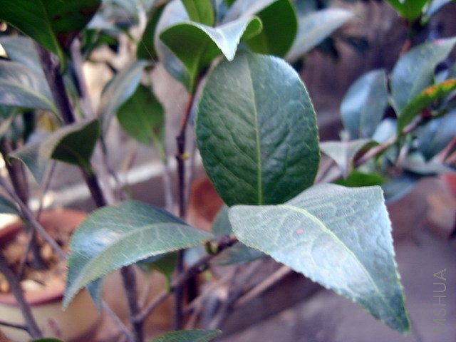 01.jpg