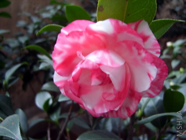 05.jpg