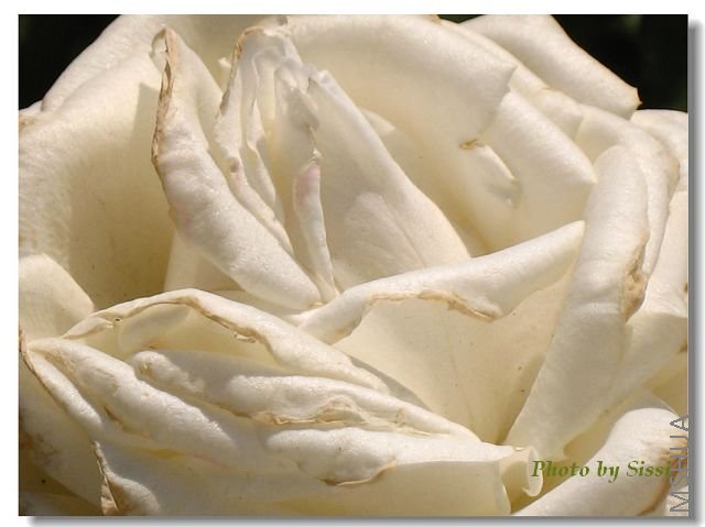 ����������ʴ��̹���~