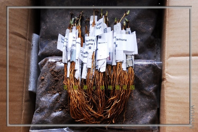 �ѱ�ֽ�ÿ��������������м�ȡ����С��