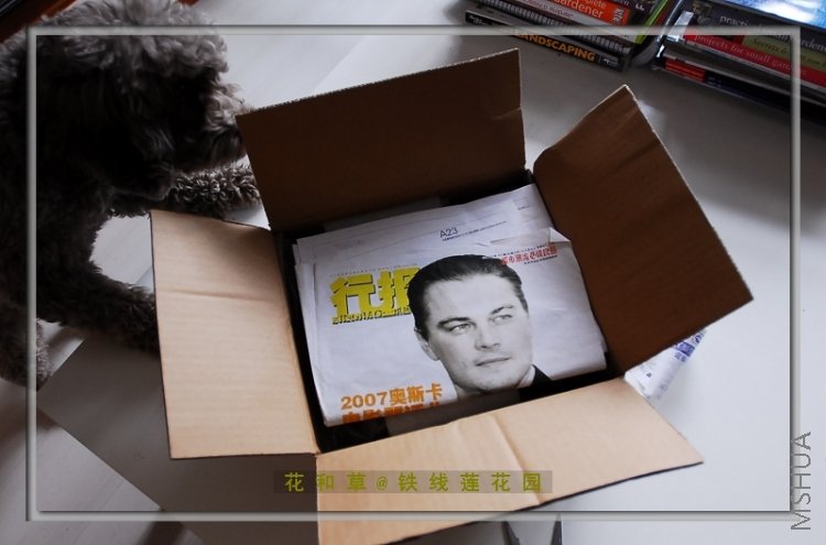 �����������������Ϊ�������۵���~