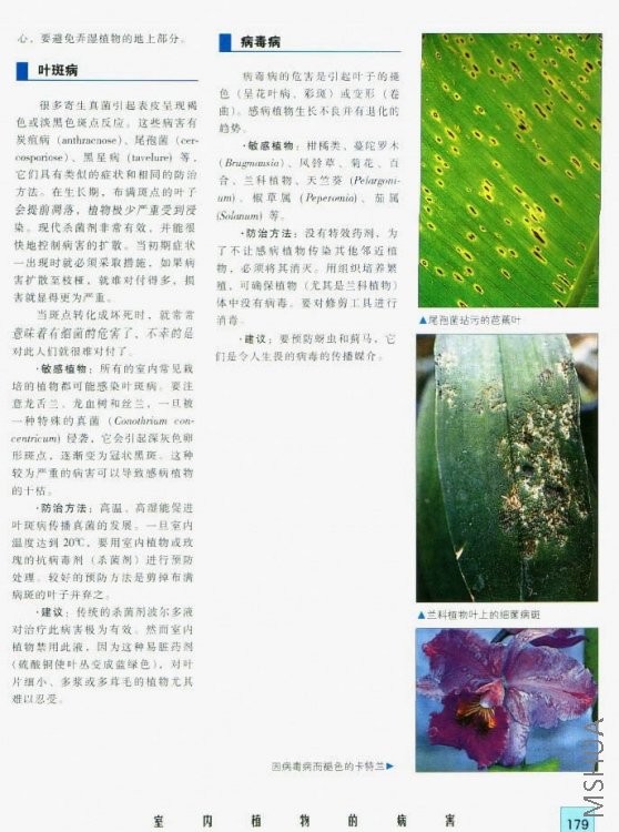 Pict2000_C.jpg