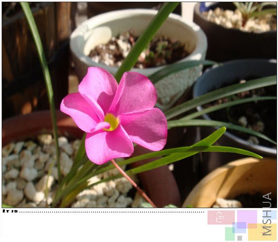 �Ϳ���һ�䣬�����Ķ��ǻ���