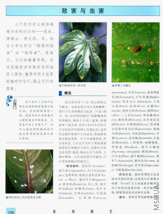 photo1000_A.jpg
