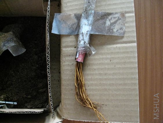 ����һ�������