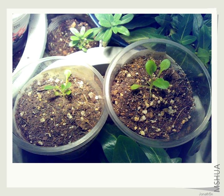 ��������10.13��