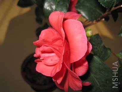 IMG_0313.JPG