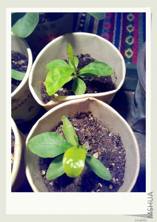 һ����һ�ð�