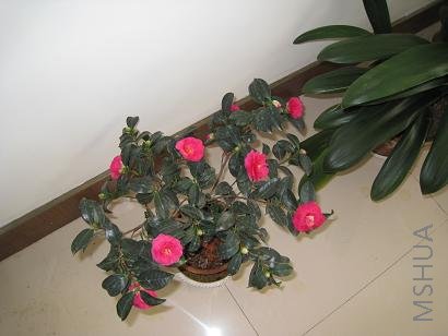 IMG_0327.JPG
