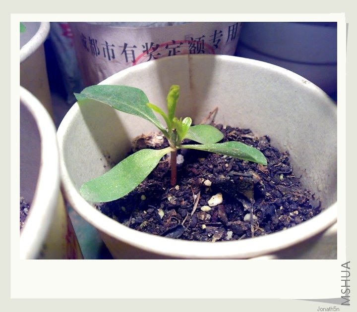 ����ͷ�ļһ������~~