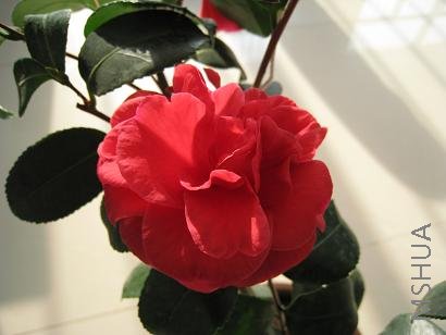 IMG_0311.JPG