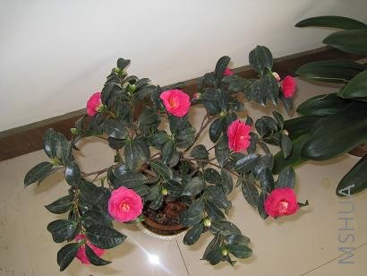 IMG_0326.JPG