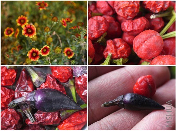 ���˾ա��Ͻ������齷