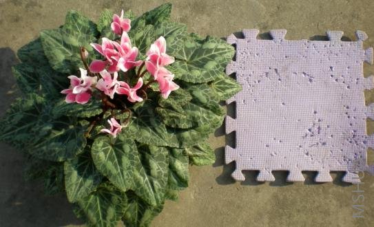 ����Բ������ϵĿӿ����ݣ������Ҽҹ����µ�����ӡ