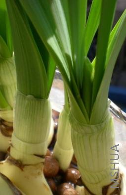 ���������Ǹ�С�򣬻��м���С��Ҳ�ڳ������С���������Ļ������ǻ�û������Ӱ