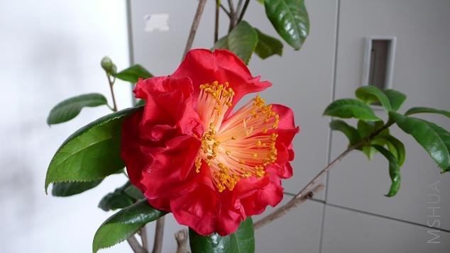 P1000864.JPG