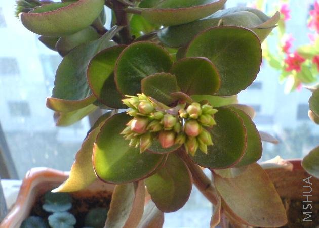 ���˻����Ѿ�¶ɫ���س���