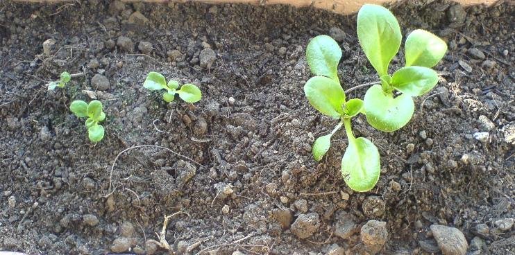 ����   һ���ֵ�  ��ô�����ô��