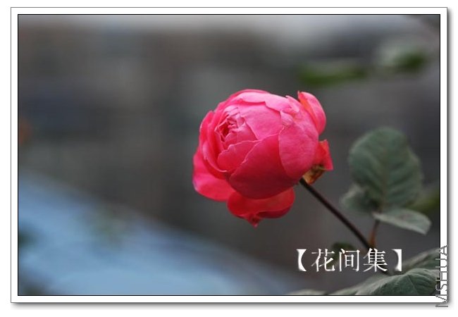 IMG_0120 ����.jpg