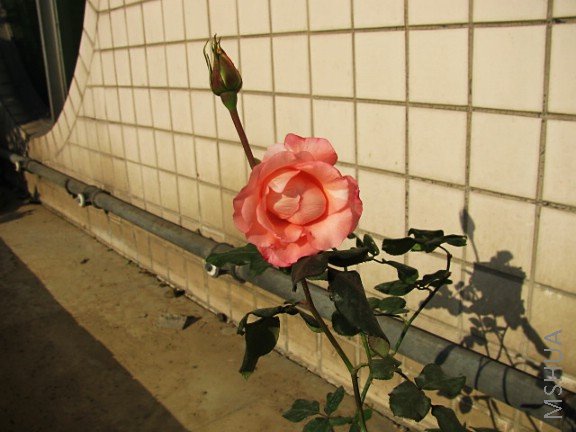 IMG_0573.JPG