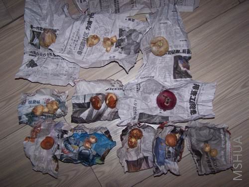 ������С 081210 002.jpg