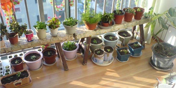 ���̫��  ��������һ������