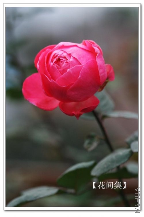 IMG_0129 ����.jpg