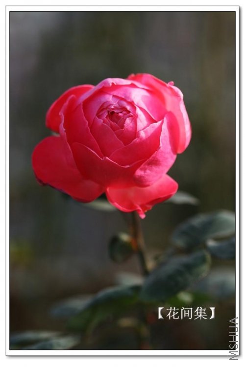 IMG_0214 ����.jpg