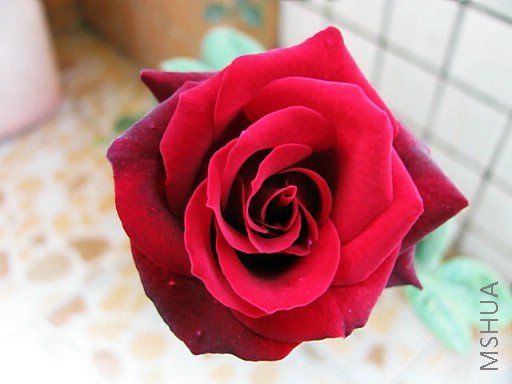 �ں��¼�
