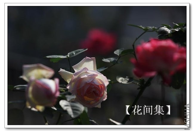 IMG_013 ����.jpg