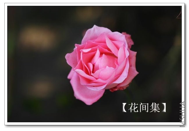 IMG_0221 ����.jpg