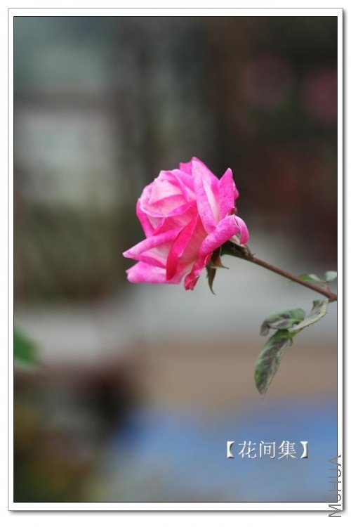 IMG_9669 ����.jpg