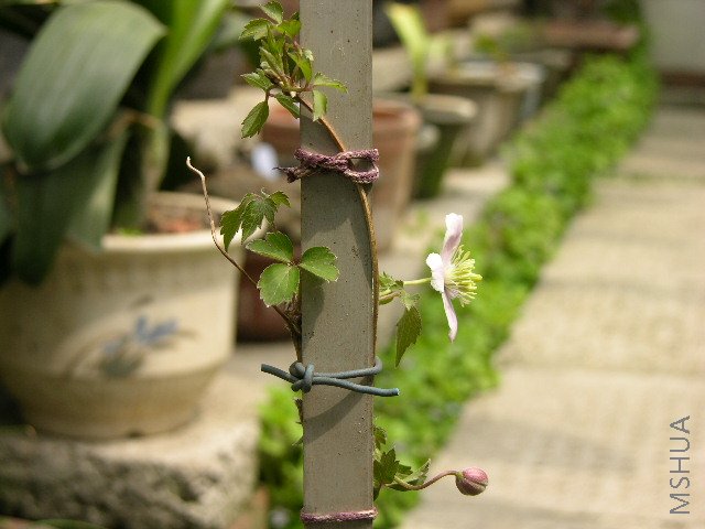 DSCN1826.JPG