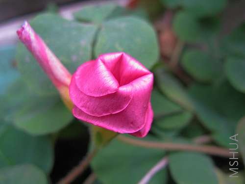 ��-ܽ�ط� 27.jpg