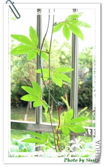 ��������ֻ����1�仨 ����