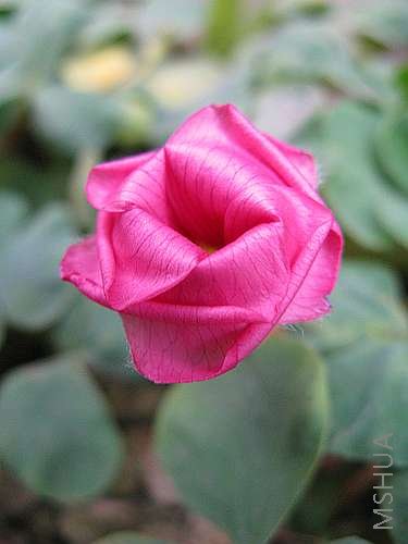 ��-ܽ�ط� 24.jpg