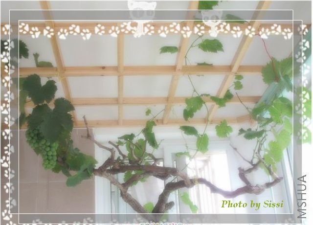 ����Ҳֻ����һ��~