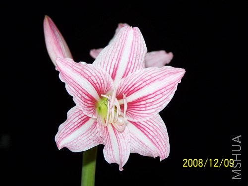 100_1639.jpg