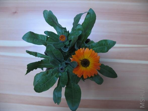 ��Ƭ 040.jpg