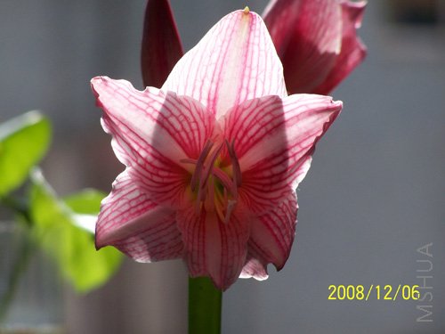 100_1630.jpg