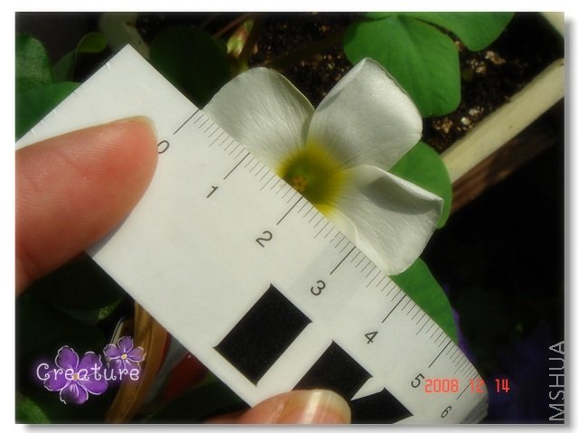 ��4cm�Ļ������ô�