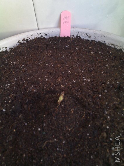 ������ȥ�ķ���