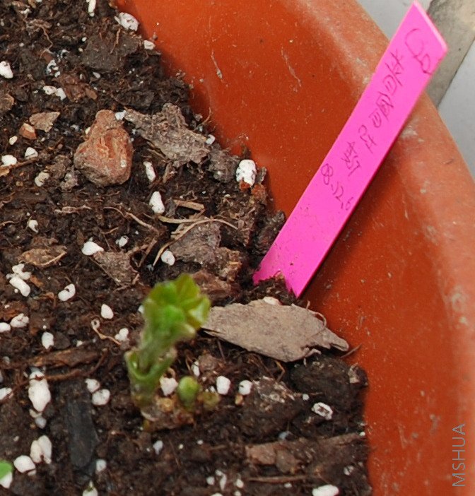 08-12-14İ��C20 ��³��˾.JPG