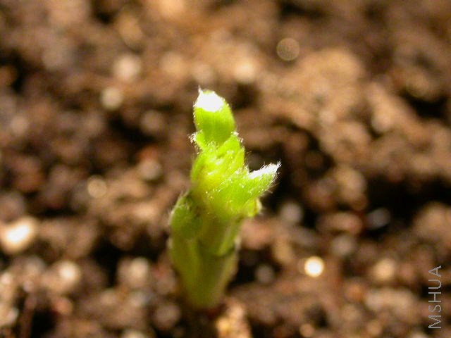 DSCN2959.JPG