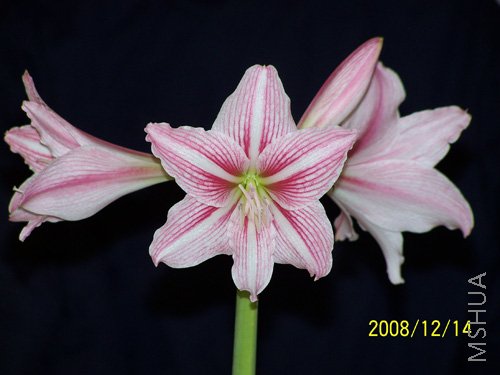 100_1643.jpg